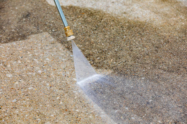 Animal Enclosure Cleaning in Stillwater, MN